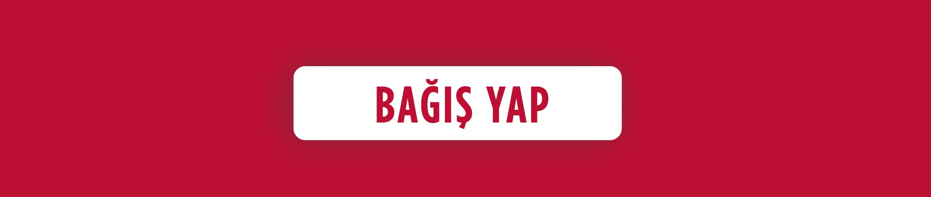 Bu Çanta Kimin?