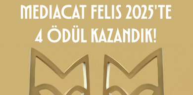 Mediacat Felis'te 4 ödül kazandık! 